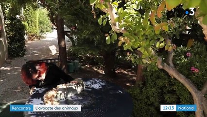 Portrait : maître Isabelle Gharbi-Terrin, l'avocate des animaux