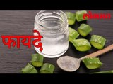 जाणून घ्या, ह्या वनस्पतीचे आरोग्यदायी फायदे | पाहा हा वीडियो | Lokmat News