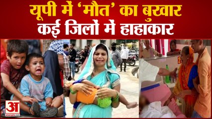 UP Dengue Viral Fever News | आगरा, फिरोजाबाद, मुरादाबाद और हाथरस में स्वास्थ्य सेवाओं पर उठे सवाल