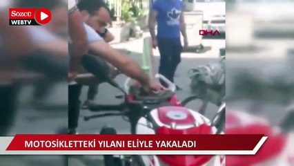 Motosikletteki yılanı eliyle yakaladı
