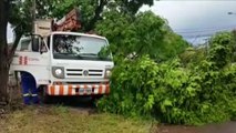 Queda de galhos de árvores provoca rompimento de fiação no Bairro Pioneiros Catarinenses