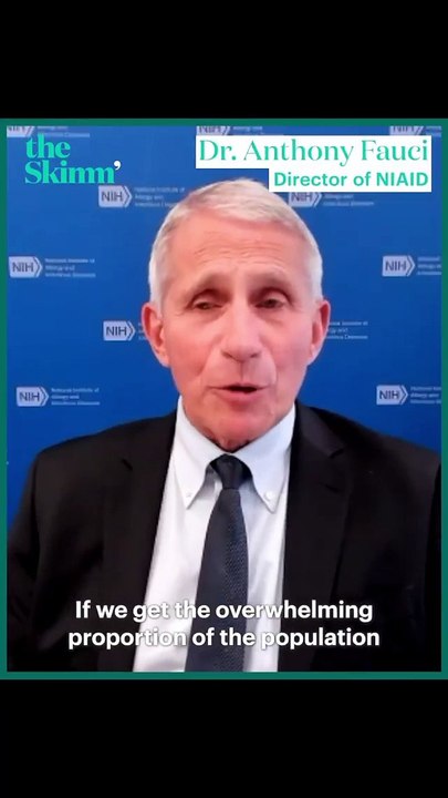 Dr. Anthony Fauci says he 'would support' a vaccine mandate for air travel