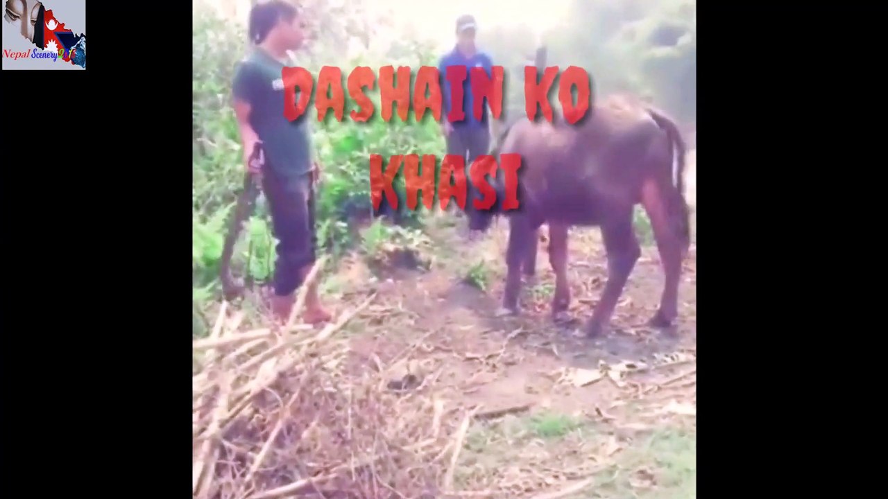 Old Nepal -- Old Dashain -- Dashain Aayoo ___ Khasi Katiyo...._Full-HD