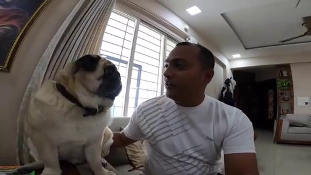 Boltu is a good boy