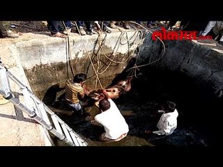 टाकीत पडलेल्या सांबराला वनविभागाच्या कर्मचाऱ्यांनी दिले जीवदान