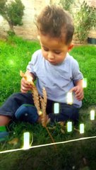 Cute baby video #baby #vlogger