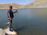 Barajlardaki balık ölümlerinin nedeni araştırılıyor