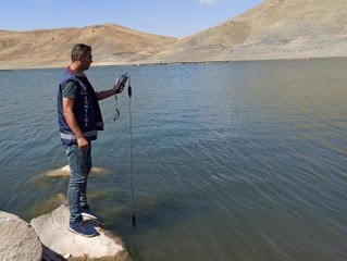 Barajlardaki balık ölümlerinin nedeni araştırılıyor