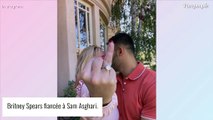 Britney Spears fiancée : Sa bague s'arrache déjà auprès des fans, la bijouterie débordée