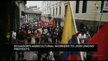 FTS 12:30 14-09: Ecuador´s agricultural workers to join union´s protests