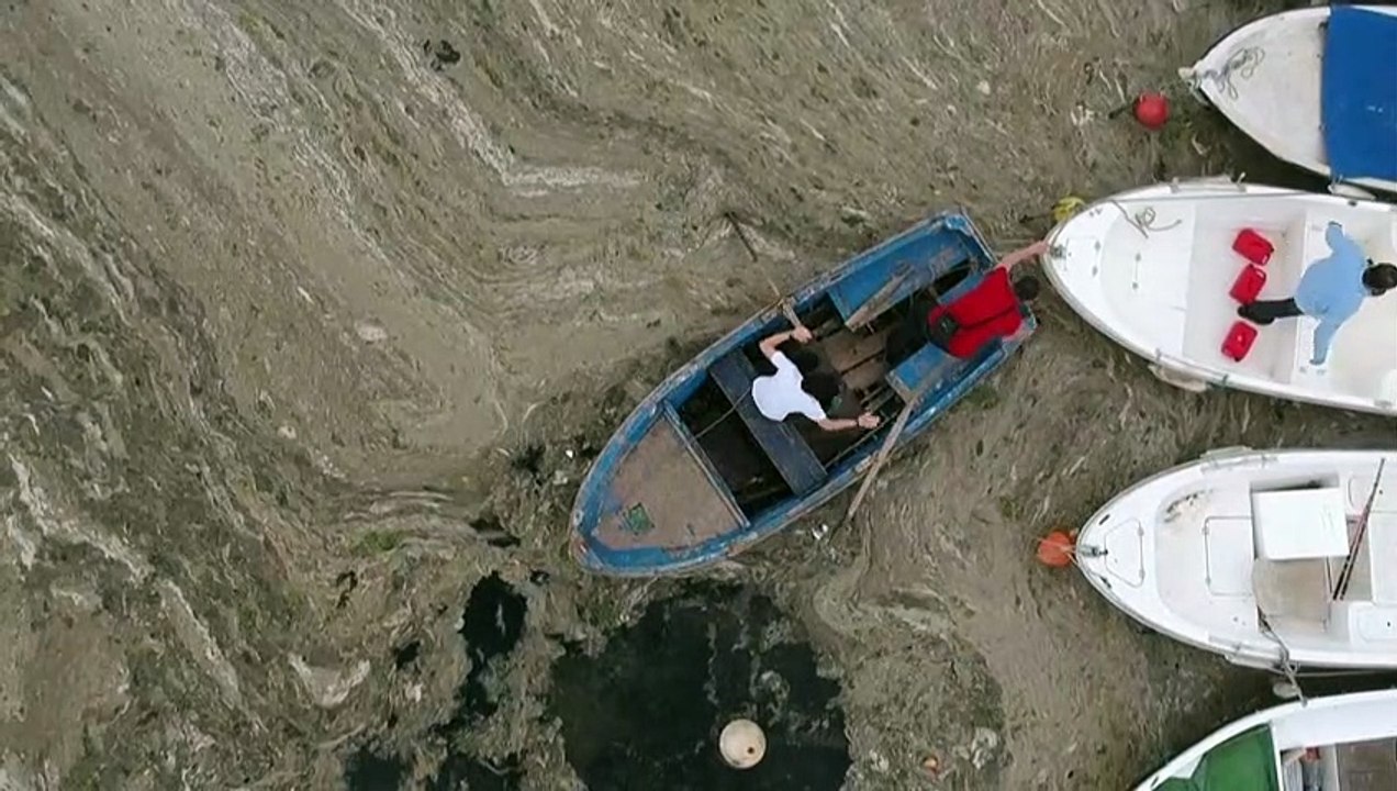 Nach Algenschleimkatastrophe: Türkisches Marmarameer so gut wie tot