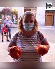 Dozens Compete in Spain’s ’Ugliest Tomato’ Contest