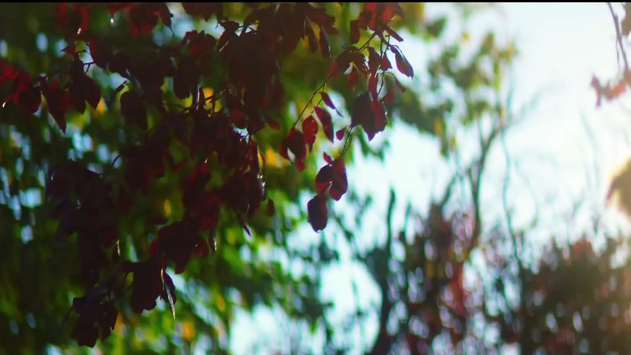 PERMISH VERMA : Hor Dus (Official Video) Yeah Proof | Romantic Song | New Punjabi Song 2021