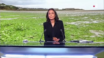 Algues vertes : les autorités bretonnes demandent l'aide des agriculteurs