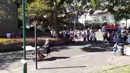 Residents revel in return of Westoe Village Fete