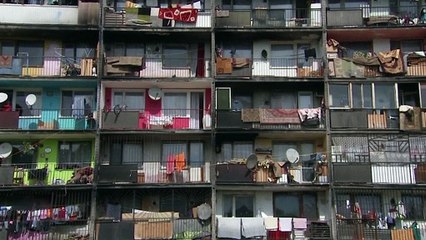 "Тут нет волков — только люди"