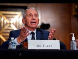 The smoking gun on Anthony Fauci
