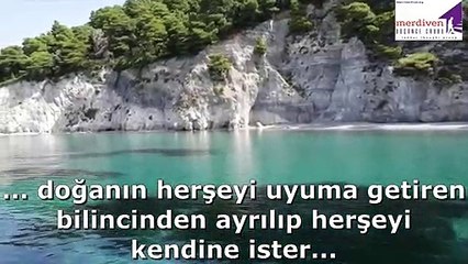 Merdiven Düşünce Grubu doğayla uyum için sizi konunun uzmanlarıyla ücretsiz çalışmalara davet ediyor
