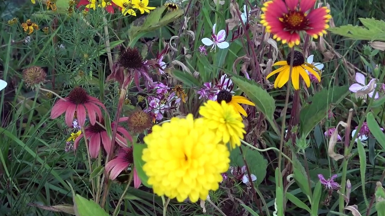 Der gute Fang - Mediterranes Lebensgefühl am Donaulido