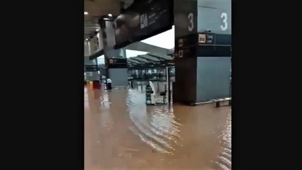 Torrential rains turn Delhi Airport into a pool