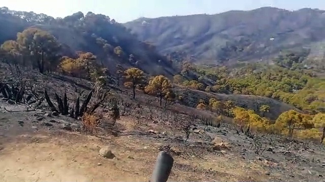 Vídeo de parte de la sierra de Genalguacil quemada en el incendio de Sierra Bermeja, en Málaga.