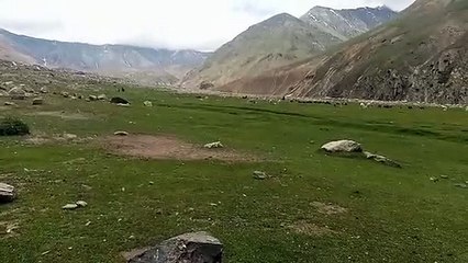 greenery in mountain valley