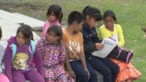 Tener clases presenciales o el peligro de caer en los tentáculos del sicariato en México