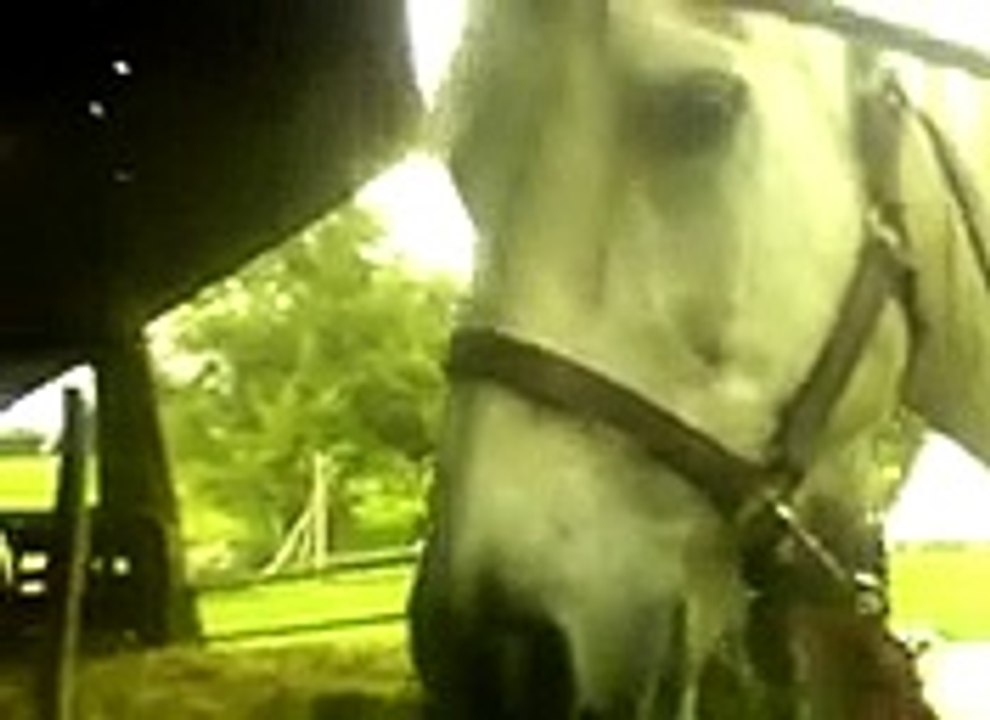 VID_20141006_130849