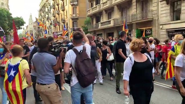 Manifestaci´ó de la Diada 2021. Oriol Junqueras