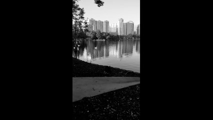 A walk around Lake Eola Park in Downtown Orlando Florida