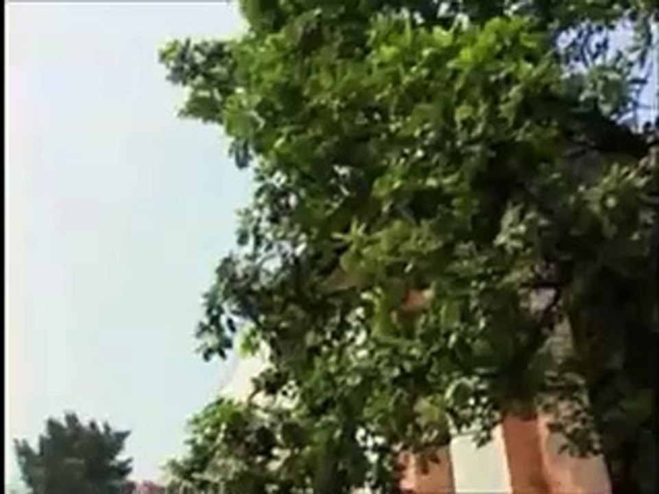 A madrasta capitulo 46 parte 1