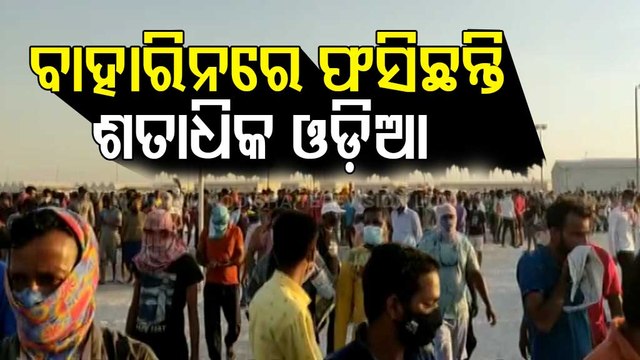 'Tortured' In Foreign Land, Hundreds Of Odisha Migrant Workers Urge Govt For Rescue