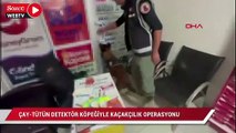 Küçükçekmece'de çay-tütün arama köpeğiyle kaçakçılık operasyonu