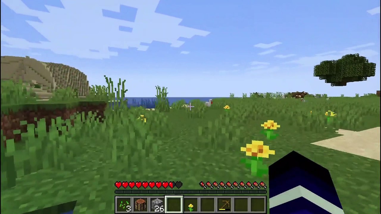 minecraft_ new series 1  raw