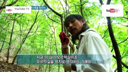 ความลับแห่งเอเชีย ชุด Korea Hunter ตอน ตามหาต้นไม้ที่ถูกฟ้าผ่า
