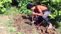 Brick pool construction - Construção de piscina de tijolos