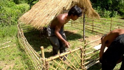 Giving the pig a home - Dando uma casa para o porquinho