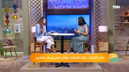 طائر القيثارة.. يقلد الأصوات بشكل مميز ويبهر الملايين
