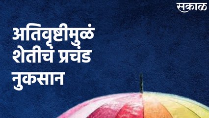 Rain Update Jalna : अतिवृष्टीमुळं शेतीचं प्रचंड नुकसान