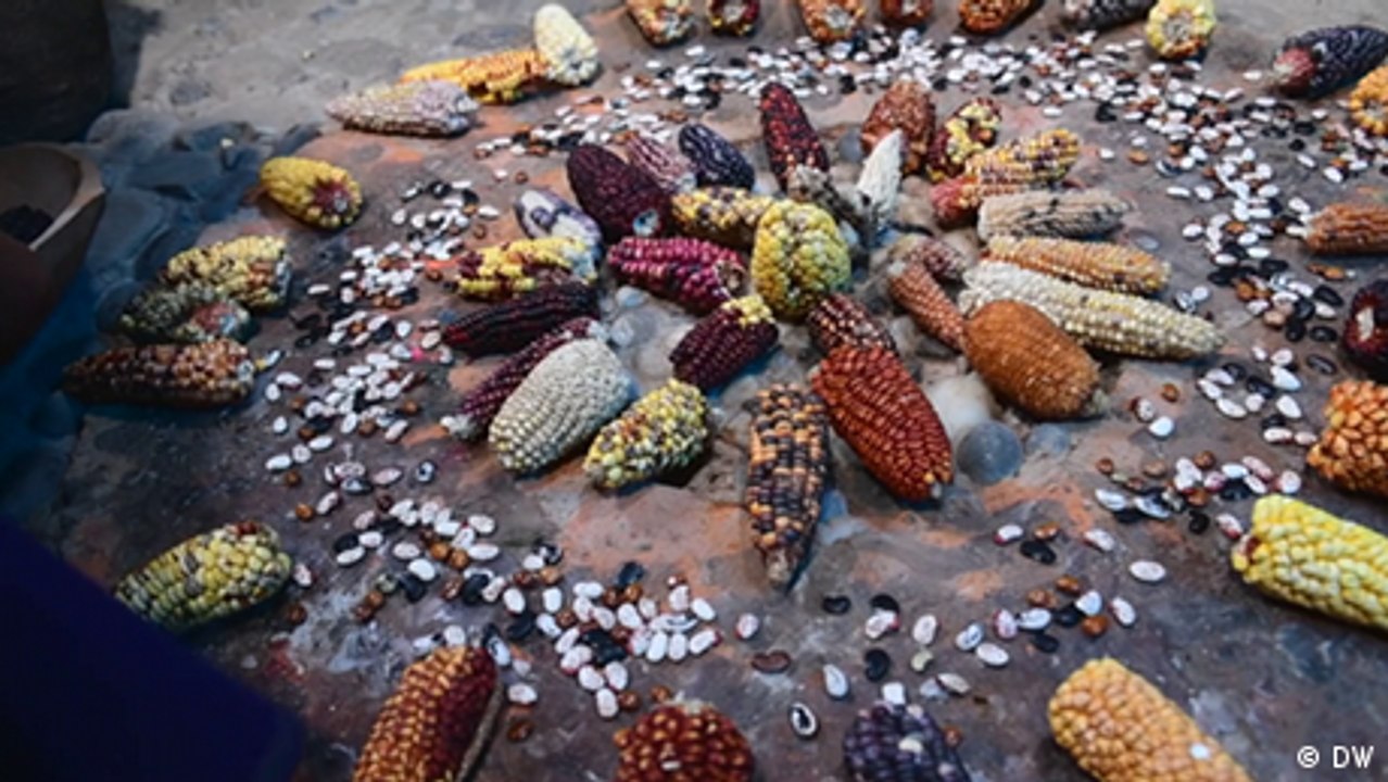 Seeds of change in Ecuador