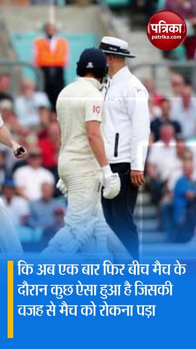 चलते क्रिकेट मैच में से गेंद लेकर भागा डॉगी, सेमीफाइनल मैच में पड़ी बाधा