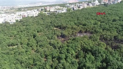 Bursa'daki orman yangını söndürüldü