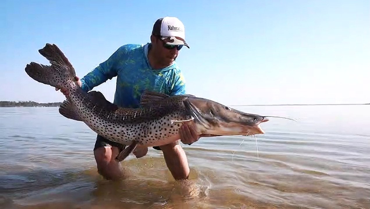 Increíble momento, SURUBI
