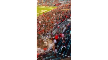 Miami fans rescue dangling cat in heart-wrenching moment