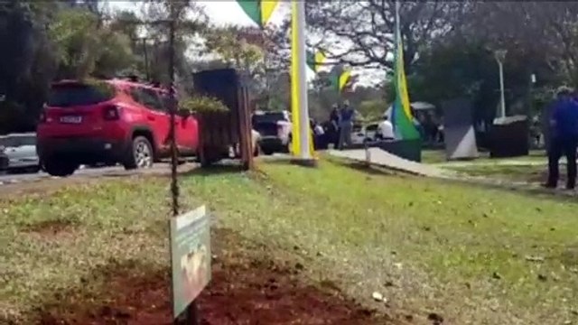 Plantio de Araucárias é realizado no Lago Municipal em Cascavel