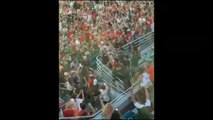 Salvan a un gato en un estadio de Florida utilizando una bandera para amortiguar la caída