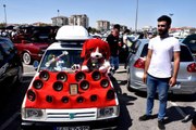 MALATYA'DA 'MODİFİYELİ ARAÇ FESTİVALİ'