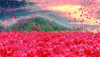 Super beautiful and romantic scene video