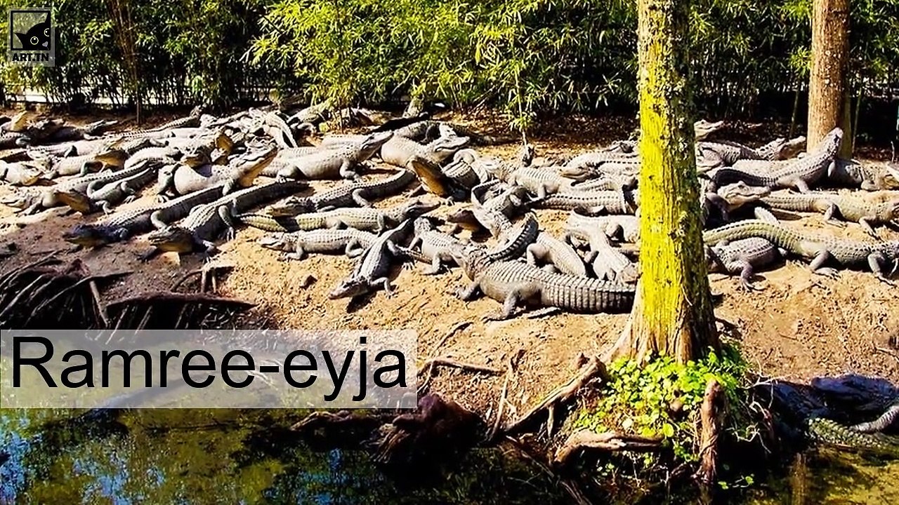 Hættulegustu eyjar heims