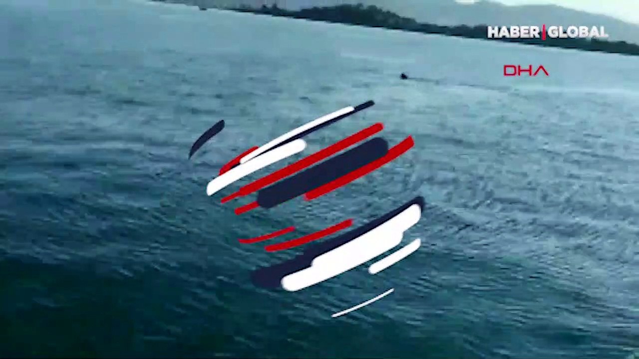 Fethiye'de dikkat çeken anlar... Görüntülediği foka 'Gel bili bili' diye seslendi